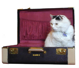 tre-kameo.suitcase.jpg